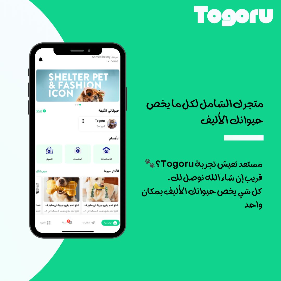 Togoru App - Pet Services Overview